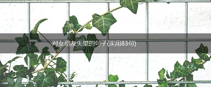对女朋友失望的句子(实用83句),第1张