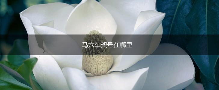 马六车架号在哪里,第1张
