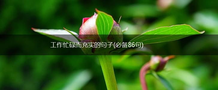 工作忙碌而充实的句子(必备86句),第1张