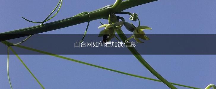百合网如何看加锁信息,第1张