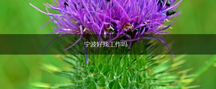宁波好找工作吗,第1张