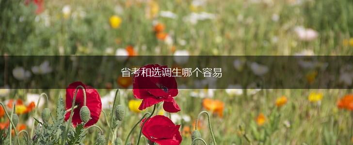 省考和选调生哪个容易,第1张