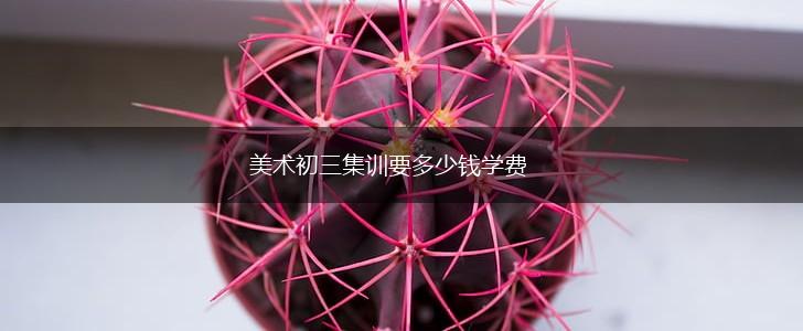 美术初三集训要多少钱学费,第1张