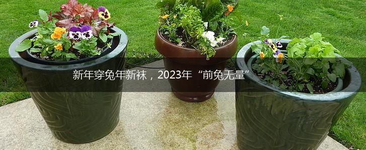 新年穿兔年新袜，2023年“前兔无量”,第1张