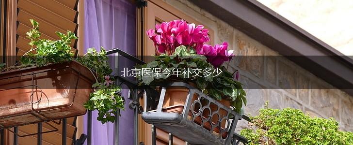 北京医保今年补交多少,第1张