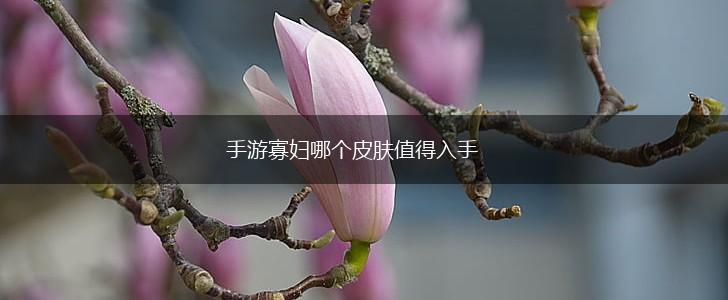 手游寡妇哪个皮肤值得入手,第1张