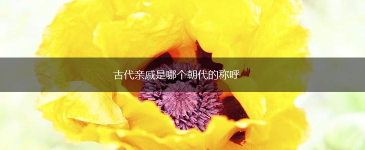 古代亲戚是哪个朝代的称呼,第1张