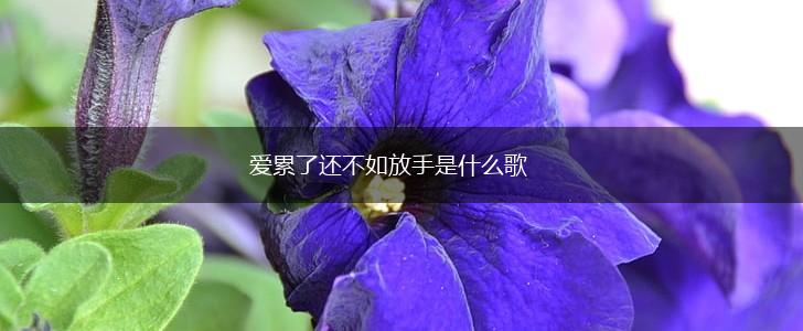 爱累了还不如放手是什么歌,第1张