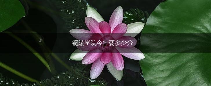 铜陵学院今年要多少分,第1张
