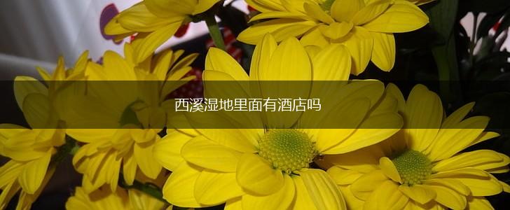 西溪湿地里面有酒店吗,第1张