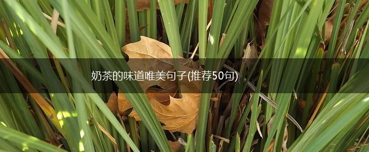 奶茶的味道唯美句子(推荐50句),第1张