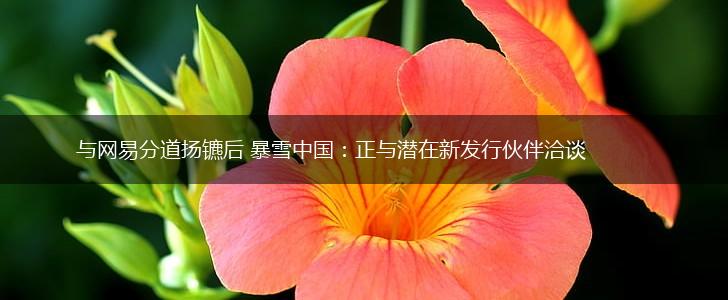 与网易分道扬镳后 暴雪中国：正与潜在新发行伙伴洽谈,第1张