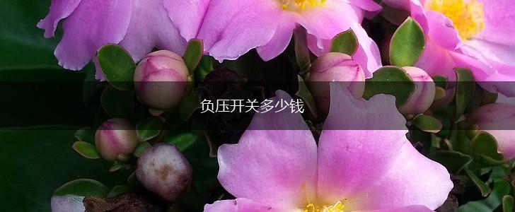 负压开关多少钱,第1张