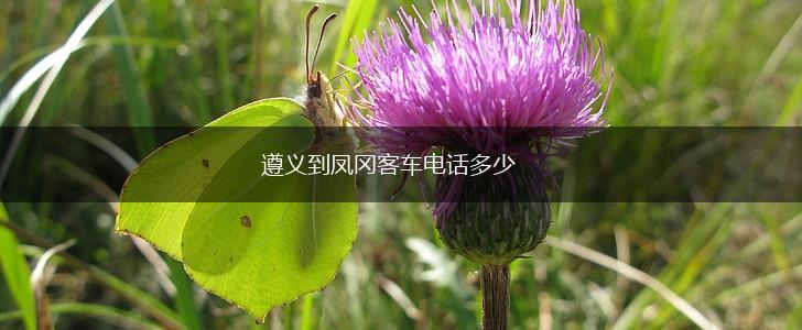 遵义到凤冈客车电话多少,第1张