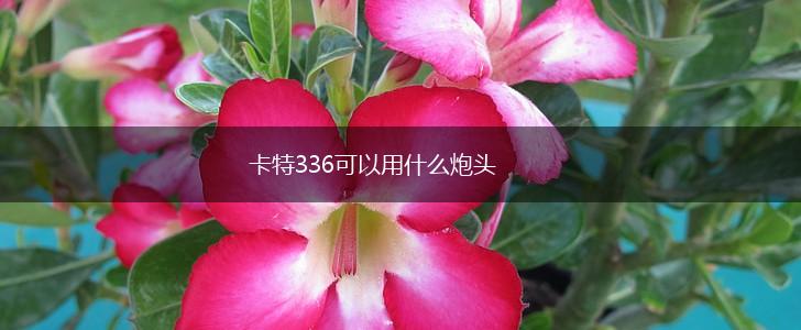 卡特336可以用什么炮头,第1张