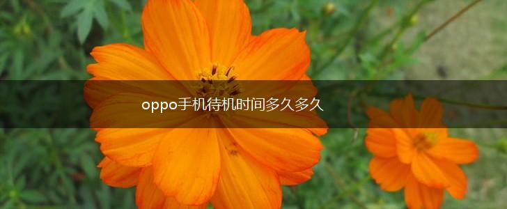 oppo手机待机时间多久多久,第1张