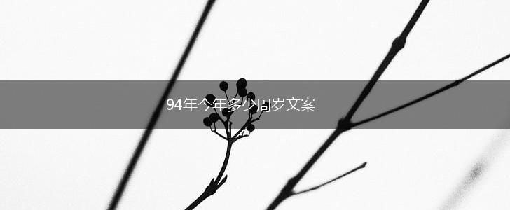 94年今年多少周岁文案,第1张