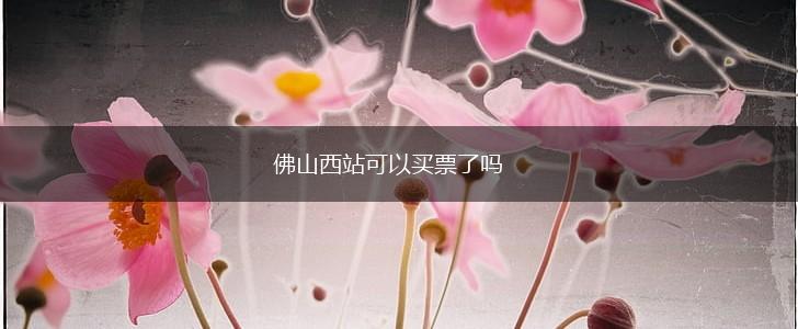 佛山西站可以买票了吗,第1张