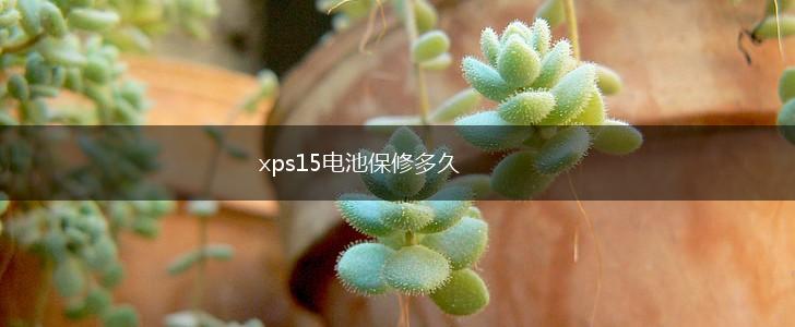 xps15电池保修多久,第1张