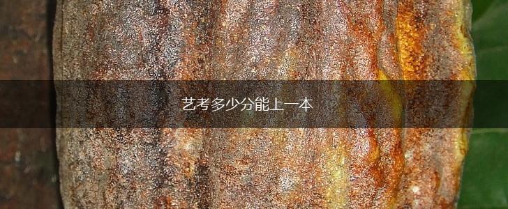 艺考多少分能上一本,第1张