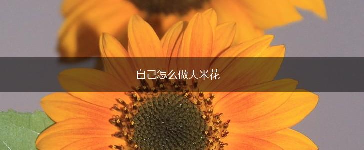 自己怎么做大米花,第1张
