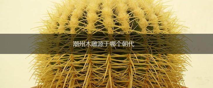 潮州木雕源于哪个朝代,第1张
