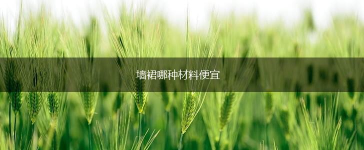 墙裙哪种材料便宜,第1张