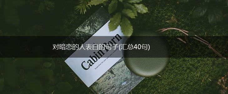 对暗恋的人表白的句子(汇总40句),第1张