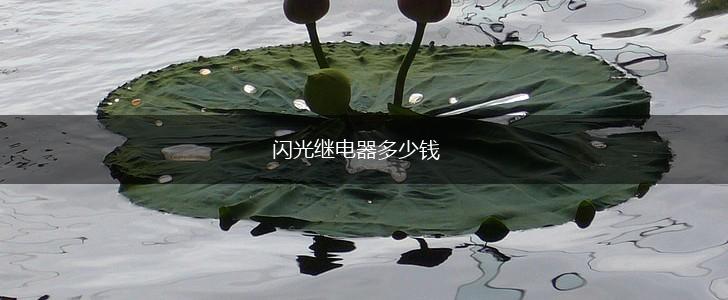 闪光继电器多少钱,第1张