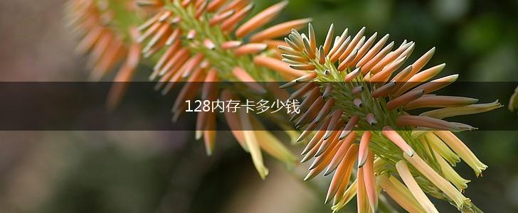 128内存卡多少钱,第1张