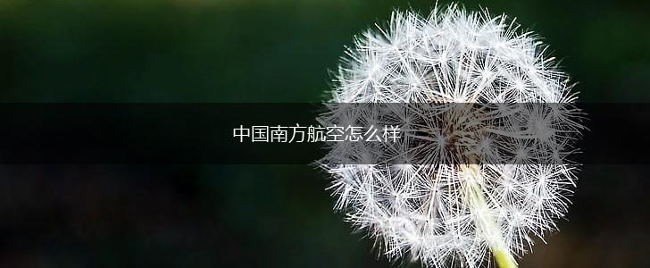 中国南方航空怎么样,第1张