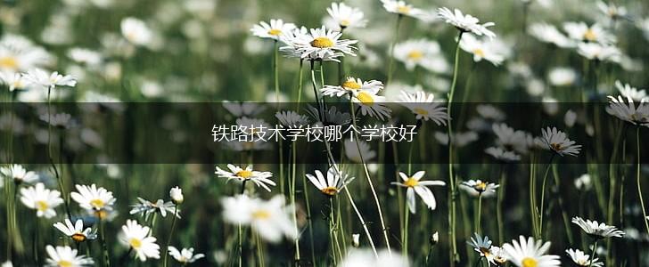 铁路技术学校哪个学校好,第1张
