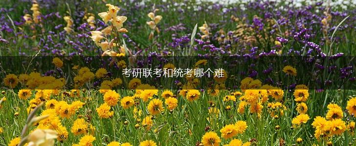 考研联考和统考哪个难,第1张