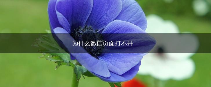 为什么微信页面打不开,第1张