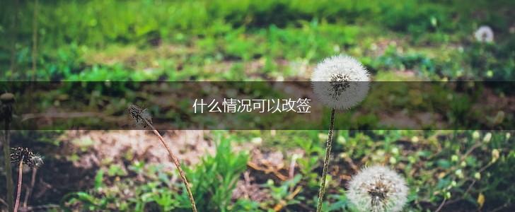 什么情况可以改签,第1张