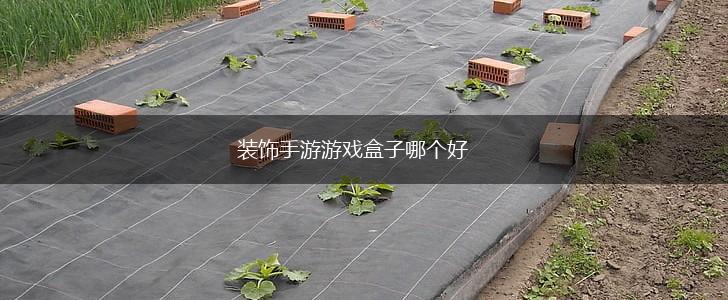 装饰手游游戏盒子哪个好,第1张