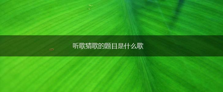 听歌猜歌的题目是什么歌,第1张