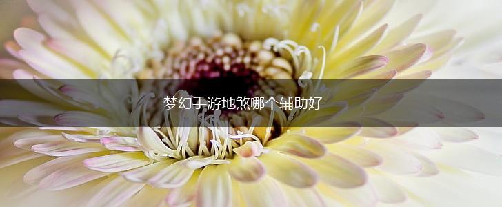 梦幻手游地煞哪个辅助好,第1张