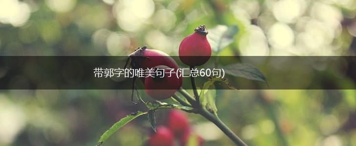 带郭字的唯美句子(汇总60句),第1张