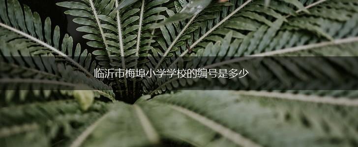 临沂市梅埠小学学校的编号是多少,第1张