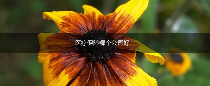 医疗保险哪个公司好,第1张