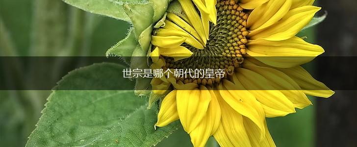 世宗是哪个朝代的皇帝,第1张