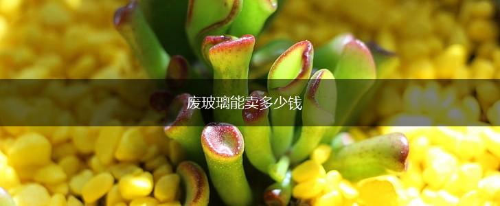 废玻璃能卖多少钱,第1张