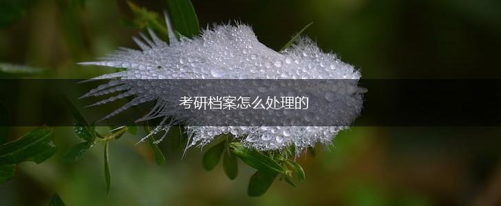考研档案怎么处理的,第1张