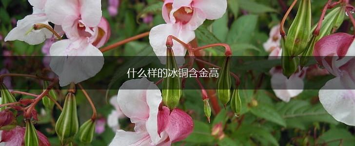 什么样的冰铜含金高,第1张