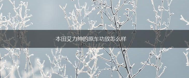 本田艾力绅的原车功放怎么样,第1张