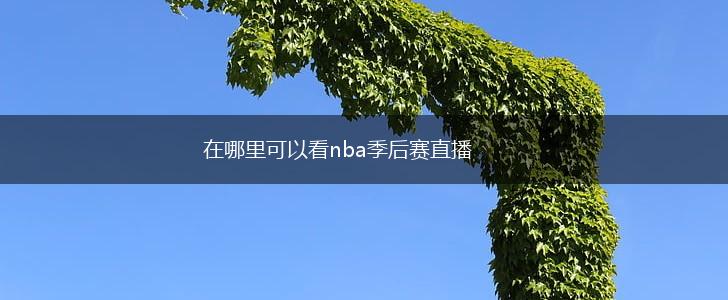 在哪里可以看nba季后赛直播,第1张