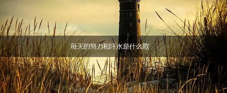 每天的努力和汗水是什么歌,第1张