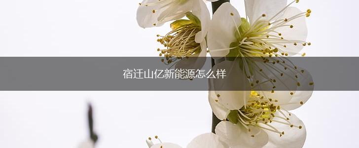 宿迁山亿新能源怎么样,第1张
