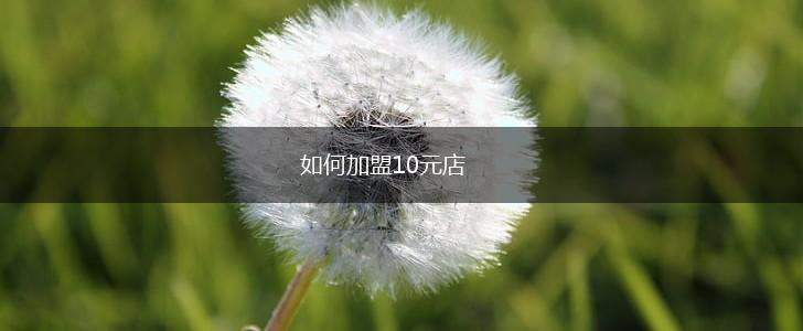 如何加盟10元店,第1张